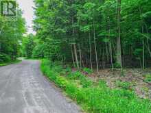0 MILL LAKE TRAIL | McDougall Ontario | Slide Image Two