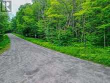 0 MILL LAKE TRAIL | McDougall Ontario | Slide Image Four