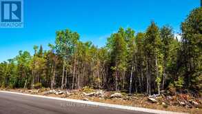 LOT 5 TRILLIUM CROSSING | Lion's Head Ontario | Slide Image Six