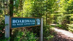 LOT 5 TRILLIUM CROSSING | Lion's Head Ontario | Slide Image Fifteen