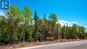 LOT 5 TRILLIUM CROSSING | Lion's Head Ontario | Slide Image Four