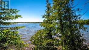 LOT 5 TRILLIUM CROSSING | Lion's Head Ontario | Slide Image Nineteen