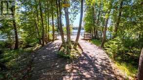 LOT 5 TRILLIUM CROSSING | Lion's Head Ontario | Slide Image Twenty-seven