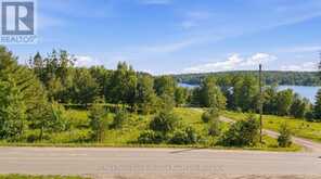 LOT 3 BURNSIDE BRIDGE ROAD | McDougall Ontario | Slide Image Fifteen