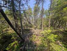 1226 DORCAS BAY ROAD | Tobermory Ontario | Slide Image Thirteen