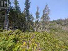 1226 DORCAS BAY ROAD | Tobermory Ontario | Slide Image Fifteen