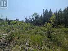 1226 DORCAS BAY ROAD | Tobermory Ontario | Slide Image Sixteen