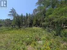 1226 DORCAS BAY ROAD | Tobermory Ontario | Slide Image Eighteen