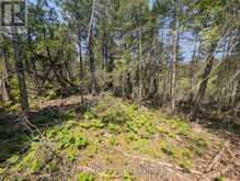 1226 DORCAS BAY ROAD | Tobermory Ontario | Slide Image Ten