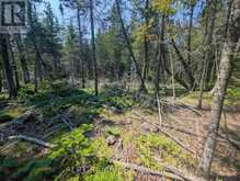 1226 DORCAS BAY ROAD | Tobermory Ontario | Slide Image Twelve