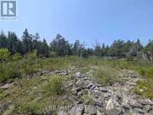 1226 DORCAS BAY ROAD | Tobermory Ontario | Slide Image Nineteen
