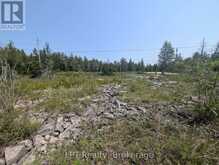 1226 DORCAS BAY ROAD | Tobermory Ontario | Slide Image Twenty