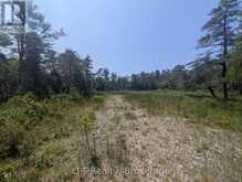 1226 DORCAS BAY ROAD | Tobermory Ontario | Slide Image Eight