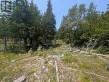 1226 DORCAS BAY ROAD | Tobermory Ontario | Slide Image Seven