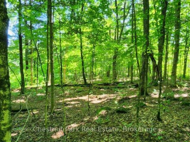 0 SKYLINE DRIVE Magnetawan Ontario, P0A 1C0 - Vacant Land For Sale
