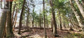 0 SKYLINE DRIVE | Magnetawan Ontario | Slide Image Ten