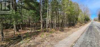 0 SKYLINE DRIVE | Magnetawan Ontario | Slide Image Eleven