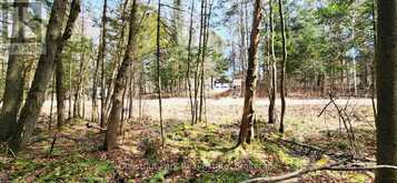 0 SKYLINE DRIVE | Magnetawan Ontario | Slide Image Fifteen