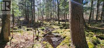 0 SKYLINE DRIVE | Magnetawan Ontario | Slide Image Sixteen