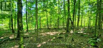 0 SKYLINE DRIVE | Magnetawan Ontario | Slide Image One