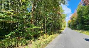 0 SKYLINE DRIVE | Magnetawan Ontario | Slide Image Two