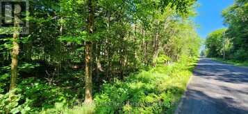 0 SKYLINE DRIVE | Magnetawan Ontario | Slide Image Three