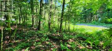 0 SKYLINE DRIVE | Magnetawan Ontario | Slide Image Four