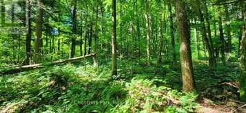 0 SKYLINE DRIVE | Magnetawan Ontario | Slide Image Five