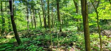 0 SKYLINE DRIVE | Magnetawan Ontario | Slide Image Six