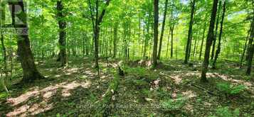 0 SKYLINE DRIVE | Magnetawan Ontario | Slide Image Seven