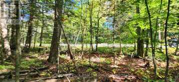 0 SKYLINE DRIVE | Magnetawan Ontario | Slide Image Eight