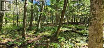 0 SKYLINE DRIVE | Magnetawan Ontario | Slide Image Nine