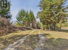 541354 14 CONCESSION | Chesley Ontario | Slide Image Thirty-two