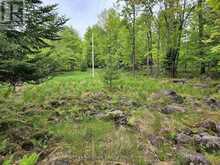 504 BIGWIN ISLAND | Dwight Ontario | Slide Image Ten