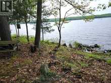 504 BIGWIN ISLAND | Dwight Ontario | Slide Image Fourteen