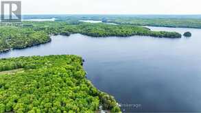 504 BIGWIN ISLAND | Dwight Ontario | Slide Image Twenty-two