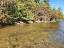 504 BIGWIN ISLAND | Dwight Ontario | Slide Image Three