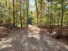504 BIGWIN ISLAND | Dwight Ontario | Slide Image Six