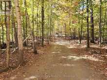 504 BIGWIN ISLAND | Dwight Ontario | Slide Image Seven