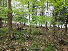 504 BIGWIN ISLAND | Dwight Ontario | Slide Image Nine