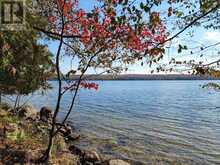 504 BIGWIN ISLAND | Dwight Ontario | Slide Image Two