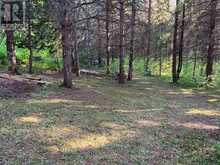627383 15 SIDE ROAD | Mulmur Ontario | Slide Image Ten