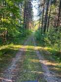 627383 15 SIDE ROAD | Mulmur Ontario | Slide Image Seven