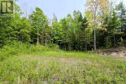 425 DUFFERIN AVENUE | Sauble Beach Ontario | Slide Image Sixteen