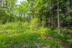 425 DUFFERIN AVENUE | Sauble Beach Ontario | Slide Image Nineteen