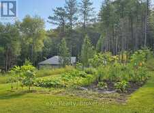 303709 SOUTH LINE | Priceville Ontario | Slide Image Ten