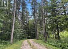 303709 SOUTH LINE | Priceville Ontario | Slide Image Six