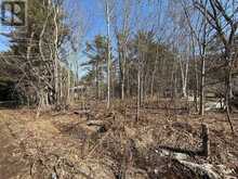 VACANT LOT PINEDALE ROAD | Gravenhurst Ontario | Slide Image One
