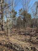 VACANT LOT PINEDALE ROAD | Gravenhurst Ontario | Slide Image Four