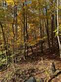 353C BALSAM CREEK ROAD | Parry Sound Ontario | Slide Image Ten